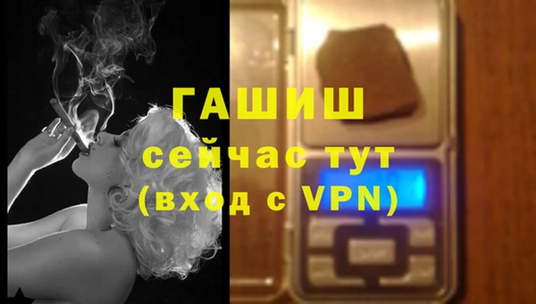 прущие грибы Магас